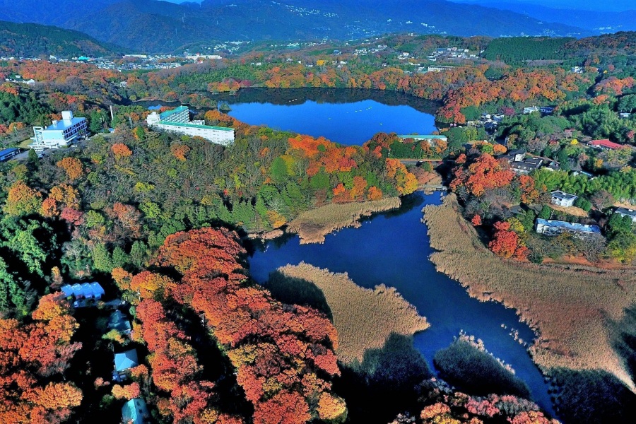 一碧湖・丸山公園の紅葉状況